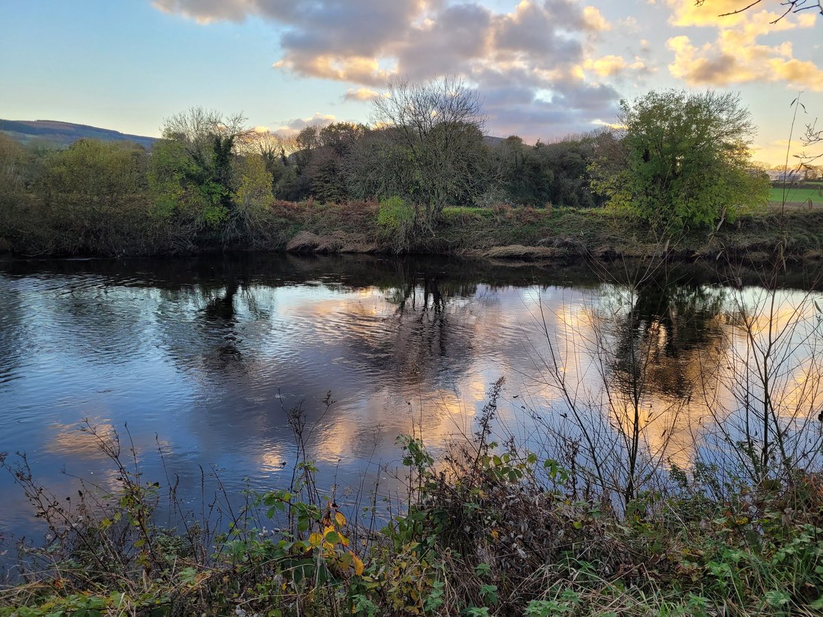 Gaularchdeacon's tweet photo. Walking on the banks of the Blackwater between #Mallow and #Killavullen late afternoon having celebrated Christ the King is a moment to savour and capture.
"Dans nos obscurités, allume le feu qui ne s'éteint jamais..." @taize https://t.co/HeKgovwnEr