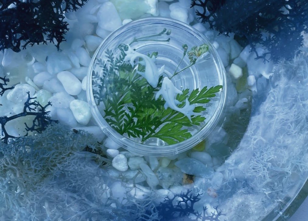 프로젝트 온도 tweet media