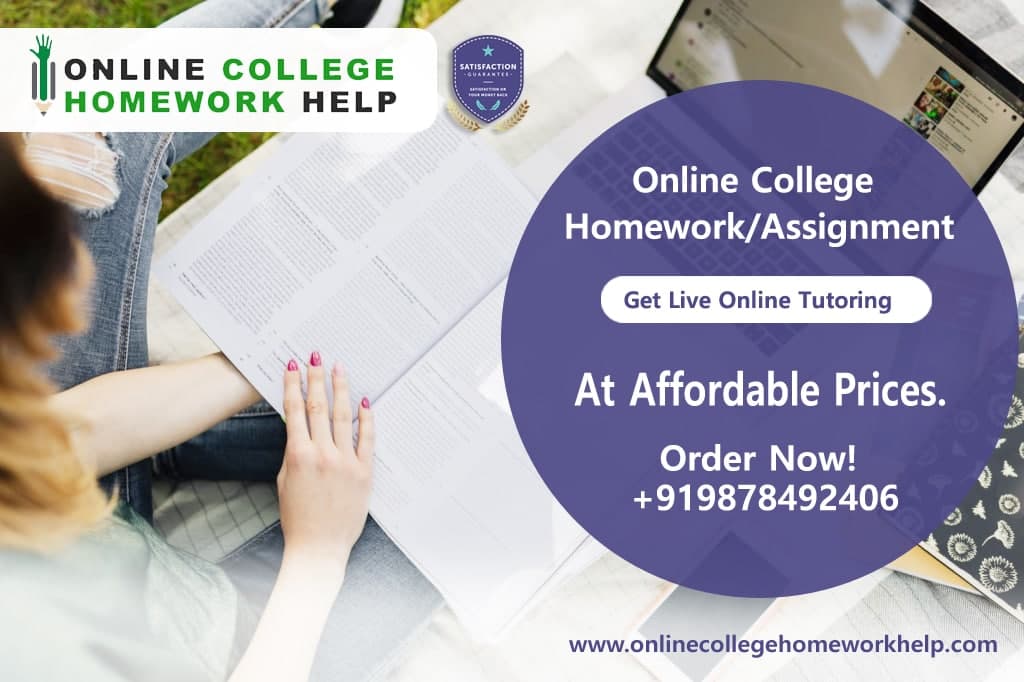 Online Homework Help College