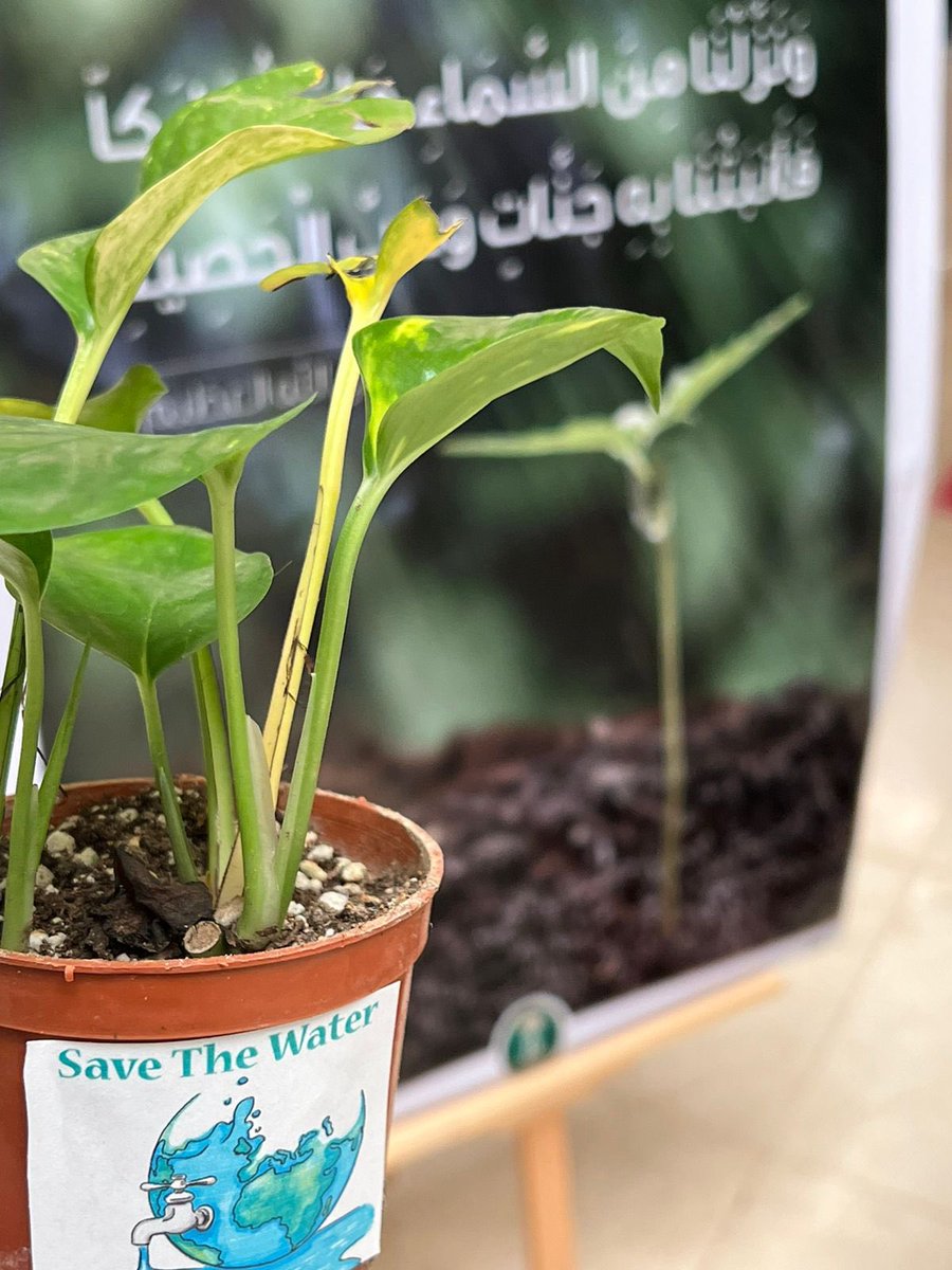 شكراً لكن ياجميلات 🍃💚 دمتن بعطاء