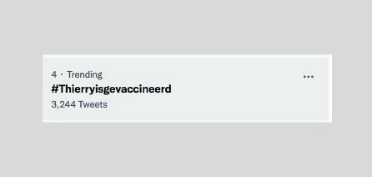 Thierry Baudet tweet media