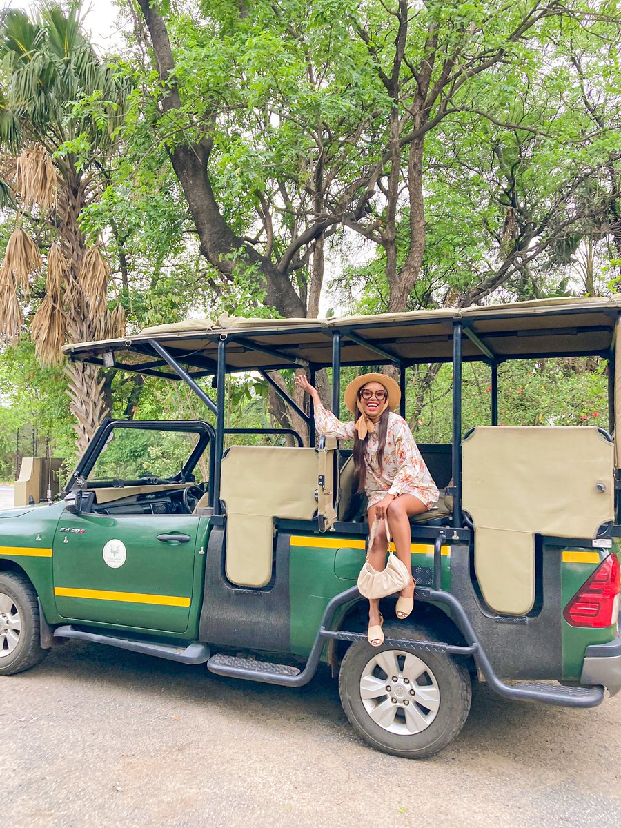 TheRealPam_'s tweet photo. Whether it’s morning or night safari game drive that you like @SefapaneLodge offers it all, with an open 4x4 giving you a closer look and feel of wildlife. @golimpopo https://t.co/iUGn3ThlM4