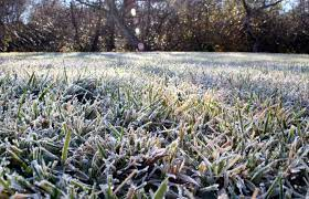 Frost! First of the year here in the pothole capital of Scotland where a giant dog poo dominates Arthur's Seat. Must be snow in the mountains.....