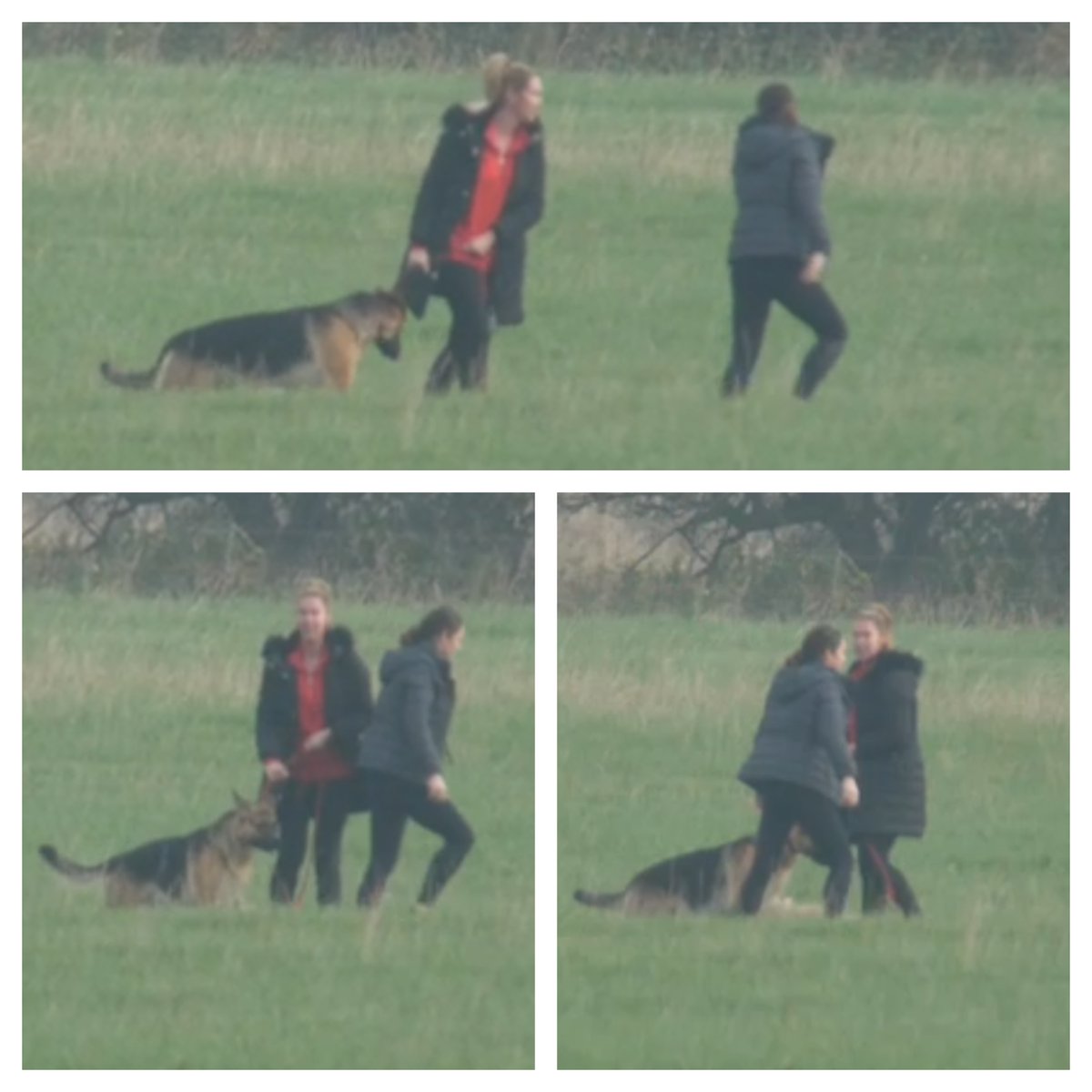 BBCSheffield's tweet photo. Police are trying to find these women who were walking their dog in a farmer’s field near Finningley Gravel Pitts, Doncaster on 15th Nov around 10am. It's thought the dog mauled and distressed the sheep grazing in the field. One was found dead the next morning. https://t.co/FrDlK19t7r