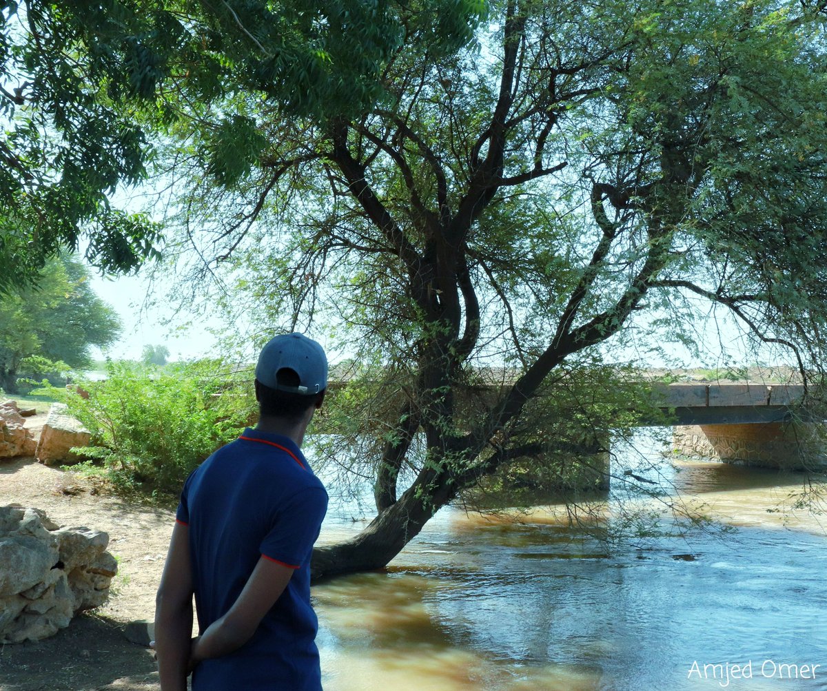 amjedomer1's tweet photo. صور من مدينة #الحصاحيصا الساحرة
#السودان
#صور_السودان
#طبيعة https://t.co/e4OCrhdamr