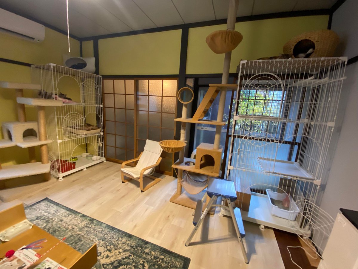 sanjo_city's tweet photo. まちなかの新たな発見をお伝えする新コーナー🆕

まちなか発見🔍№🐶(ワン)

居島を散策していたら、三条市初の保護猫カフェ「 #らっくら家」さんを発見🔍
本日「ペットの日」に合わせて開店したそうです🐶😺

猫と触れ合える素敵な空間だ😻(ニャー)

#三条市 #選びたくなるまち三条 #中心市街地活性化 https://t.co/eME1L6mX9N
