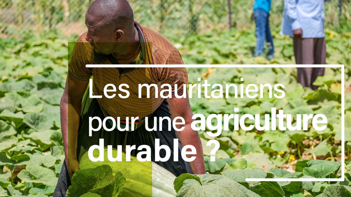 Enabel 🇧🇪 🇲🇷 tweet media