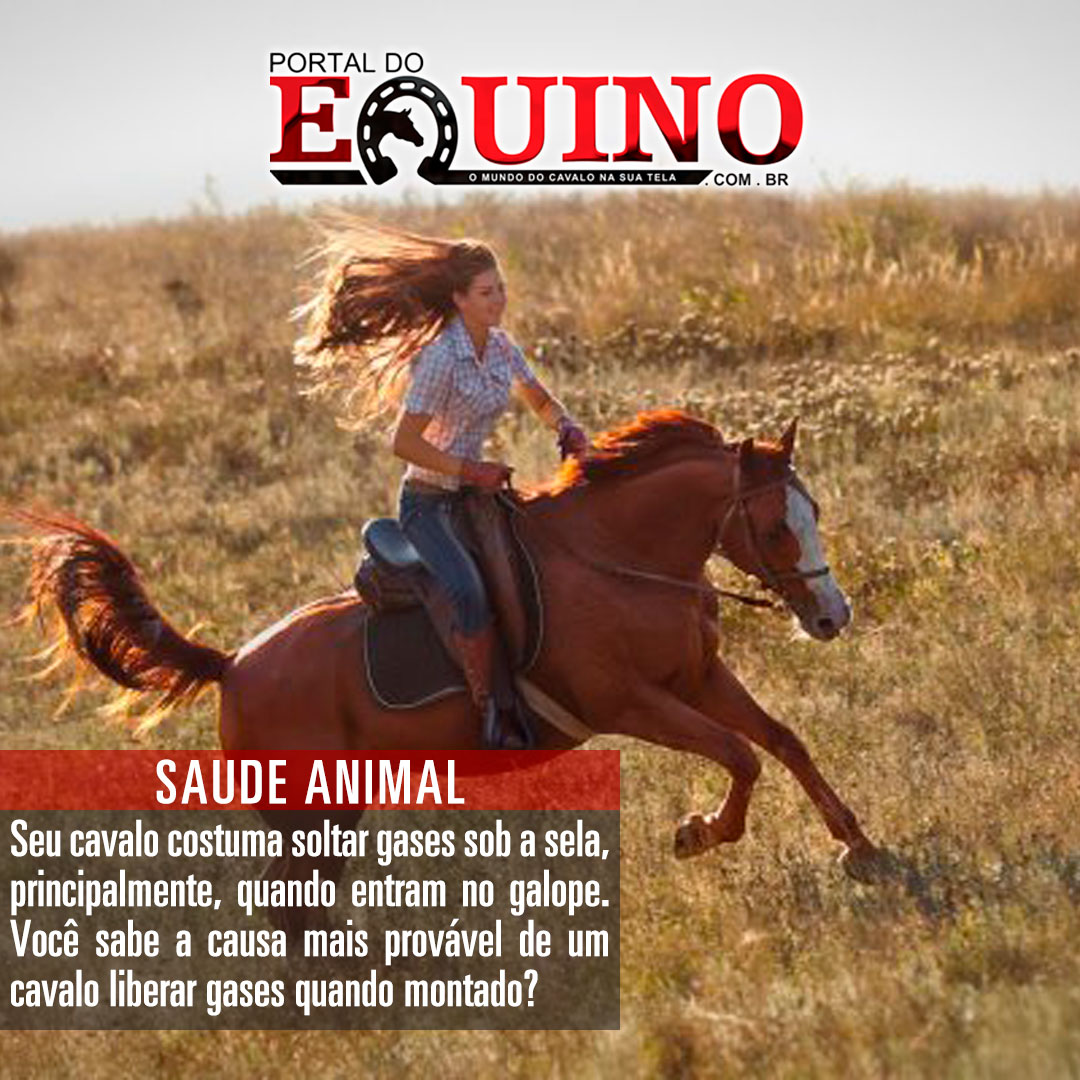 portaldoequino's tweet photo. Por que meu cavalo tem gases durante o exercício?
.
Leia mais no https://t.co/hVzqLshoXl
#QuartoDeMilha
#PaintHorse
#Crioulo
#Mangalarga
#MontariaAcavalo
#CavaloNaSela
#GasesEmCavalo
#GalopandoCavalo
#ExercitandoOcavalo
#PortalDoEquino https://t.co/9NMtLmRjUk