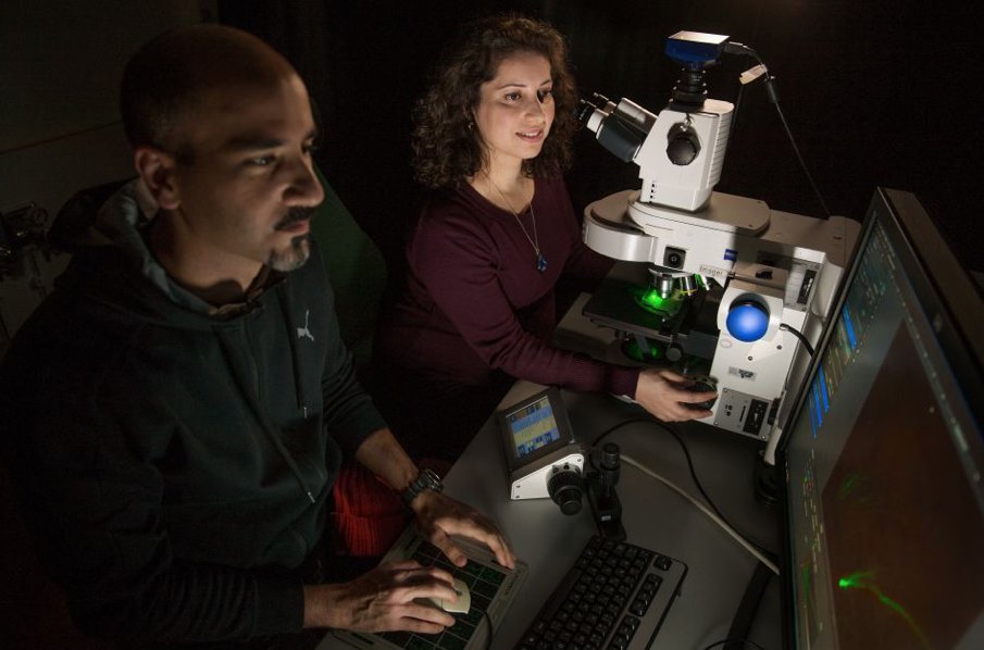 Grattis till Wallenberg Academy Fellow Nasim Sabouri!
#KAW100 #DNA #forskning #vetenskap 
Läs mer om hennes forskning om fyrsträngat DNA 
bit.ly/32d5Yau