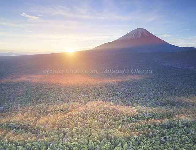 富士山と樹海😊11/19撮影写真です😊✨