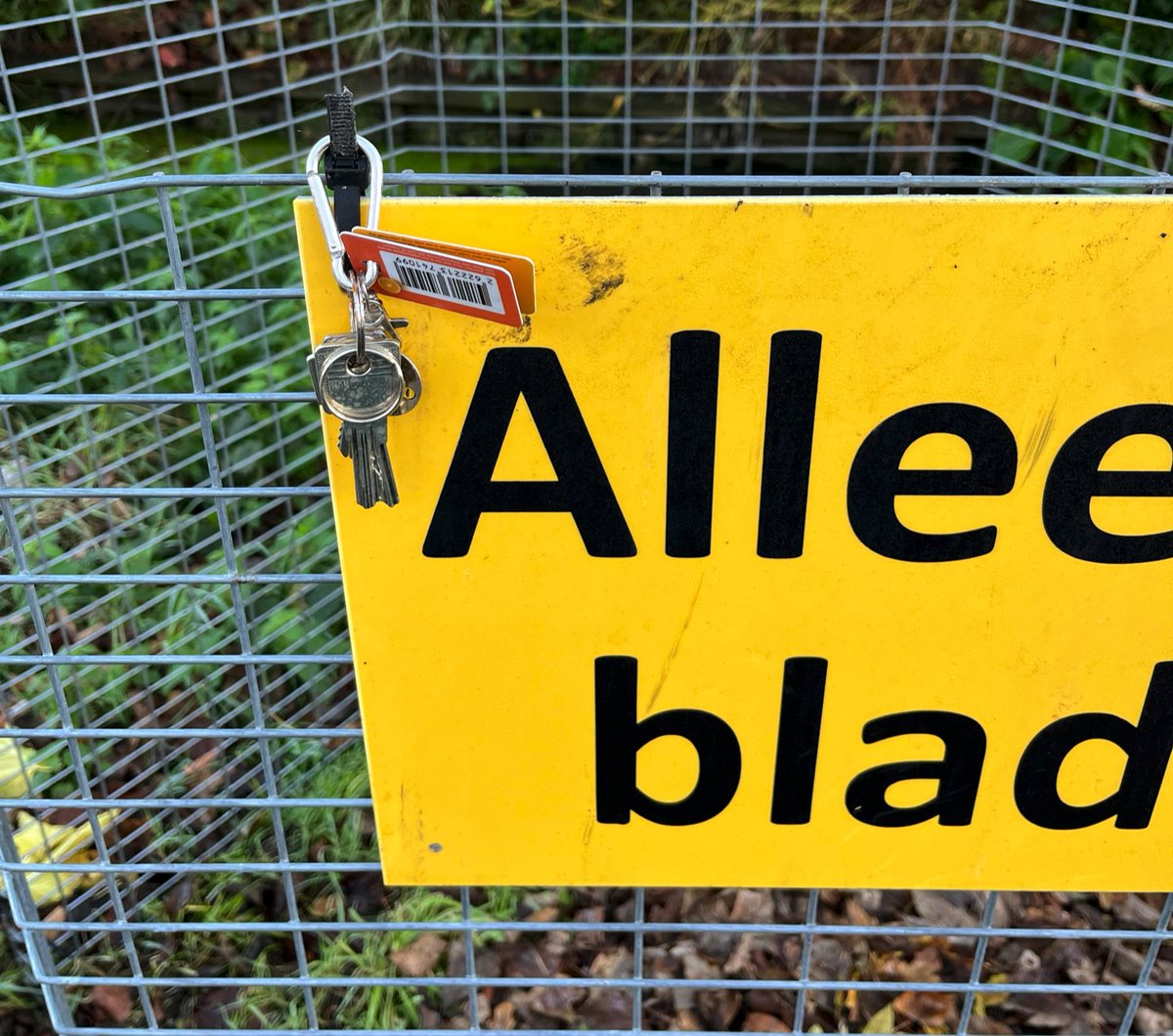 Lisette MK 😷 tweet media