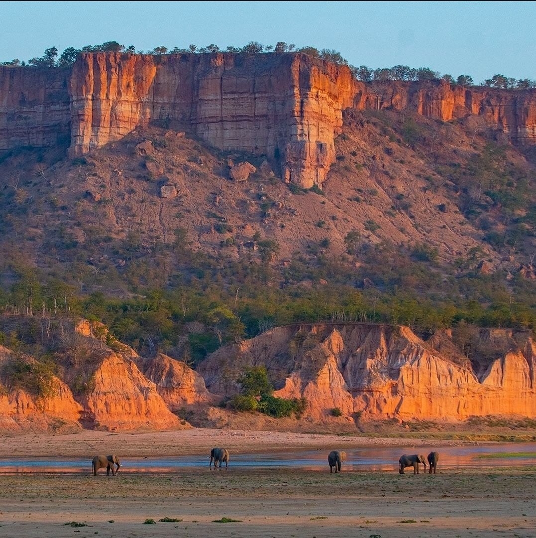 ZimBho_Official's tweet photo. #ChilojoCliffs are nothing like you've ever seen before! The best view is from above the clifftop, resembling a mini Grand Canyon with its rock formations combined with endless magical scenery over the Runde River and extending plains.
📸: @mavrossafaris
#ZimBho
#Gonarezhou https://t.co/8u2FwGVgvs