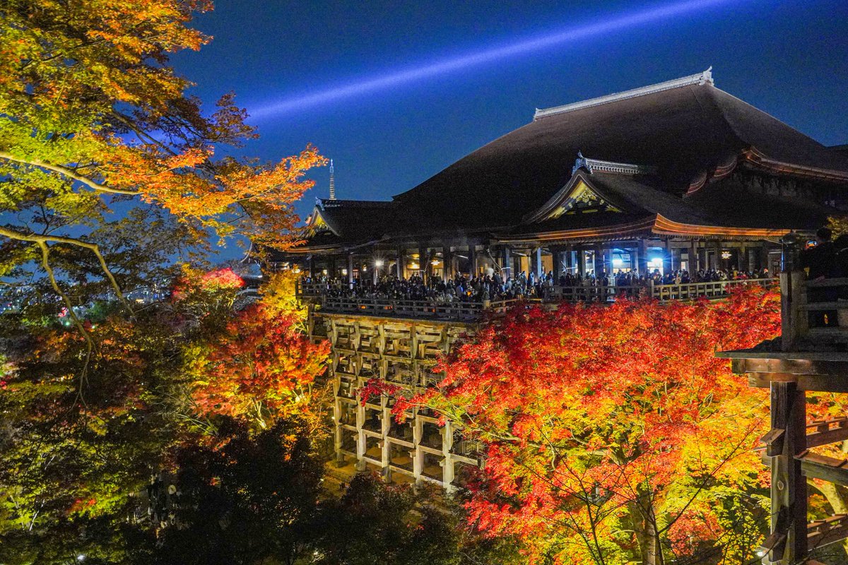 昨日の夜の清水寺の紅葉ライトアップ、混雑を回避しつつ写真を撮りました🙂感動レベルでした✨