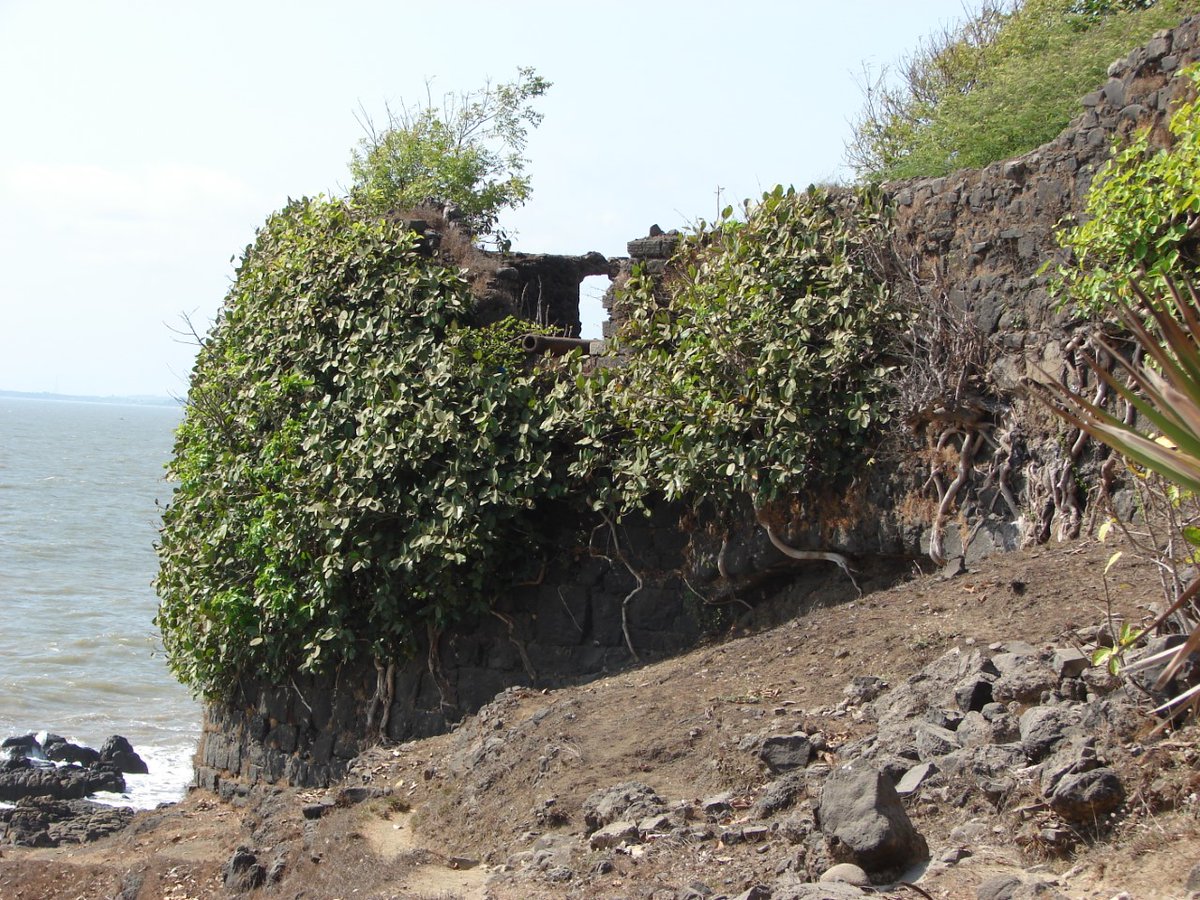 vanarambh's tweet photo. A natural camouflage?  

https://t.co/oVjPI3HtpP

#nature #scenic #landscape #forest #trekking #trek #walk #hiking #earth #love #wild #wildlife #wildlifephotography #naturephotography #flower #biodiversity #fort https://t.co/n8RkmLzRDR
