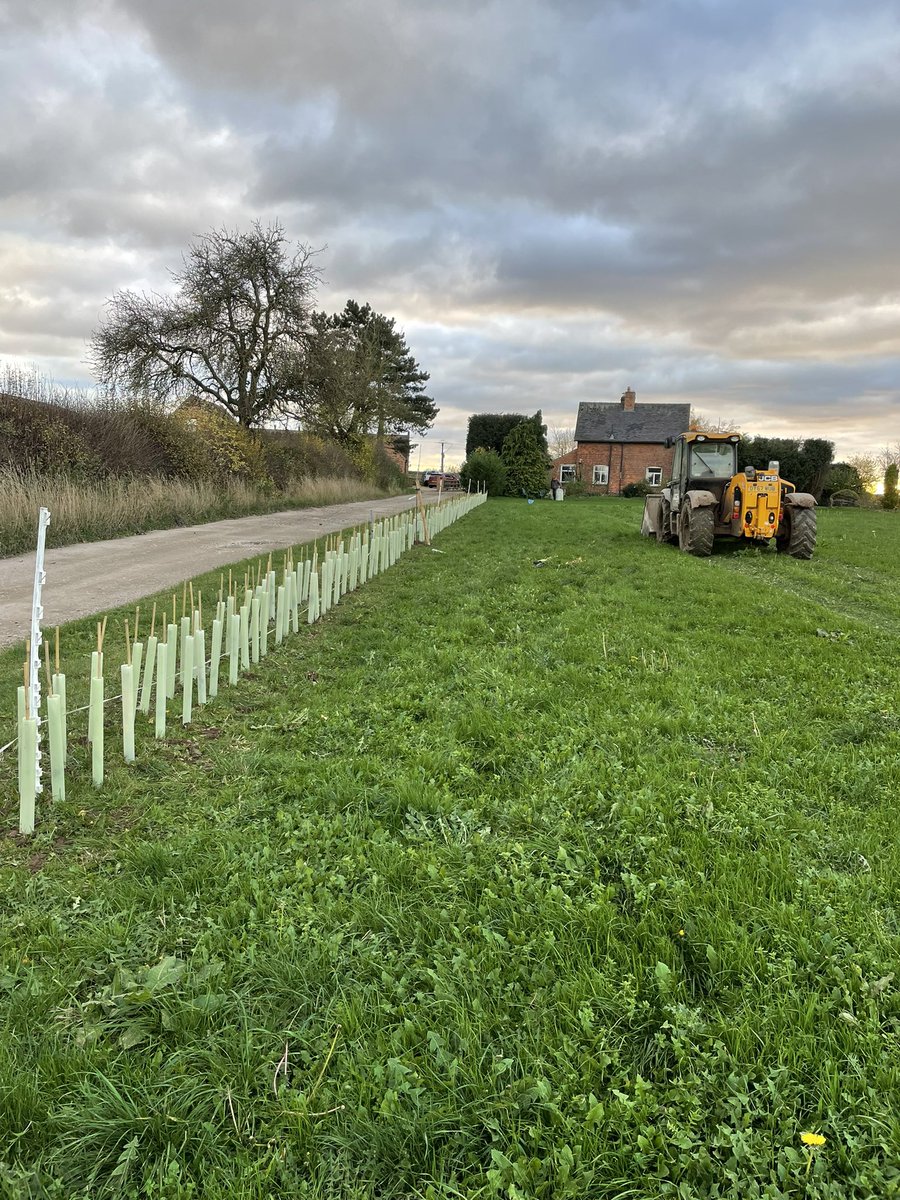 Becky Falder tweet media