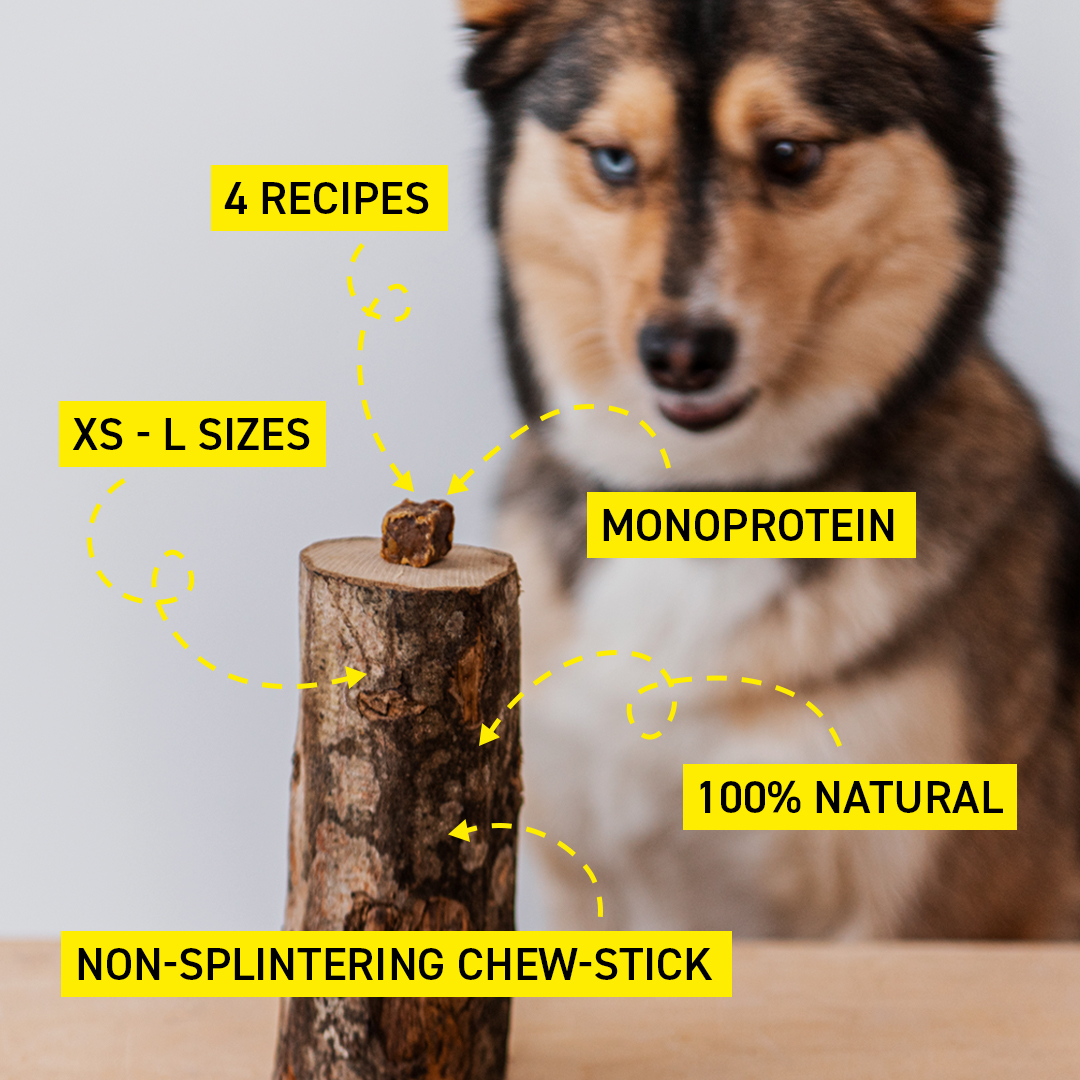 Have you checked out our newly extended range of treats yet? We’ve got nutri-boosters, skin &amp; coat specific, beef livers, wild fish and even vegan treats available - all in our 100% recycle, cardboard pocket-pouches. 

Find our full range here: gorocketo.com/organic-raw-do…