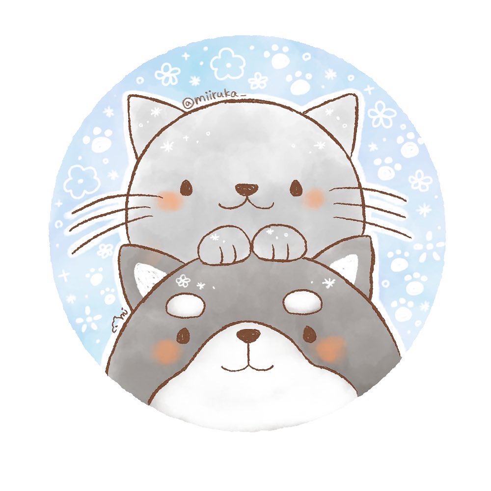 今日は11月(わんわん)22(にゃんにゃん)の日らしい！！🐶🐱 ということ