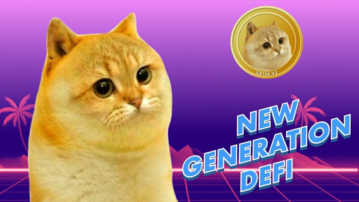 CATGE CATGE CATGE tweet media