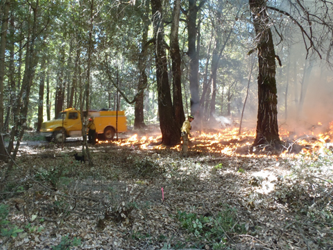 forestservice's tweet photo. Fire is no longer the problem. It’s part of the solution. We're learning from tribal &amp; indigenous fire traditions as we restore the balance between humans and nature. https://t.co/12EuVPJ1kB https://t.co/WpkGQFuRzK