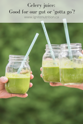 Interested in how celery juice impacts your gut health? Our dietitians at Ignite share their take on the newest diet fad. ed.gr/dk2nv