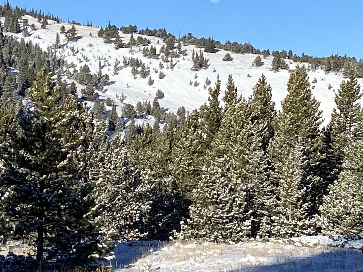 Weird Foothill Guy tweet media