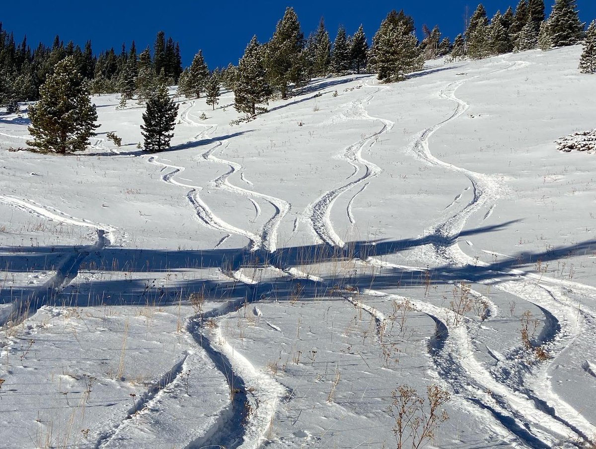 Weird Foothill Guy tweet media