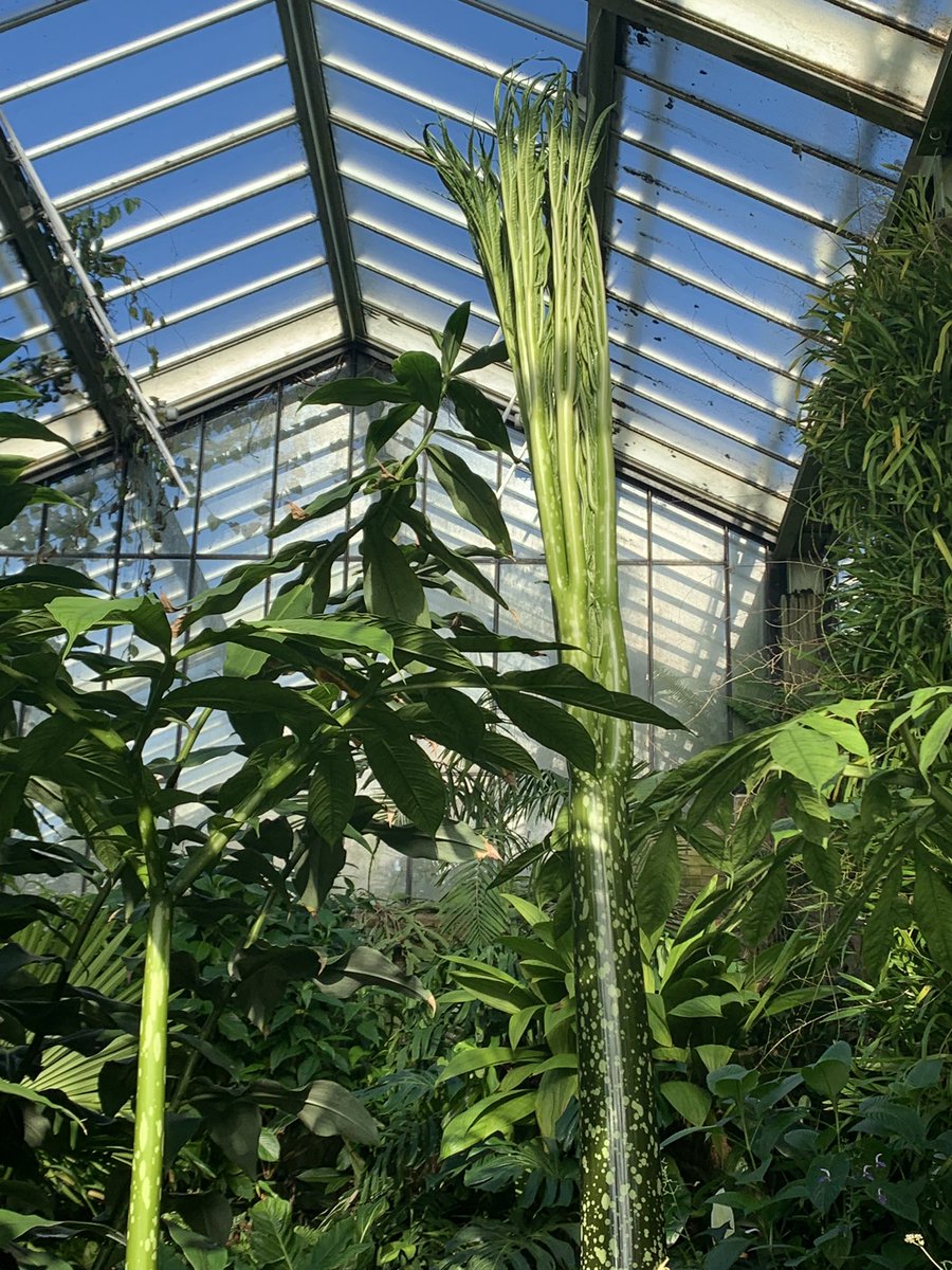 Perfect day for a wander round <a href="/kewgardens/">KewGardens</a>