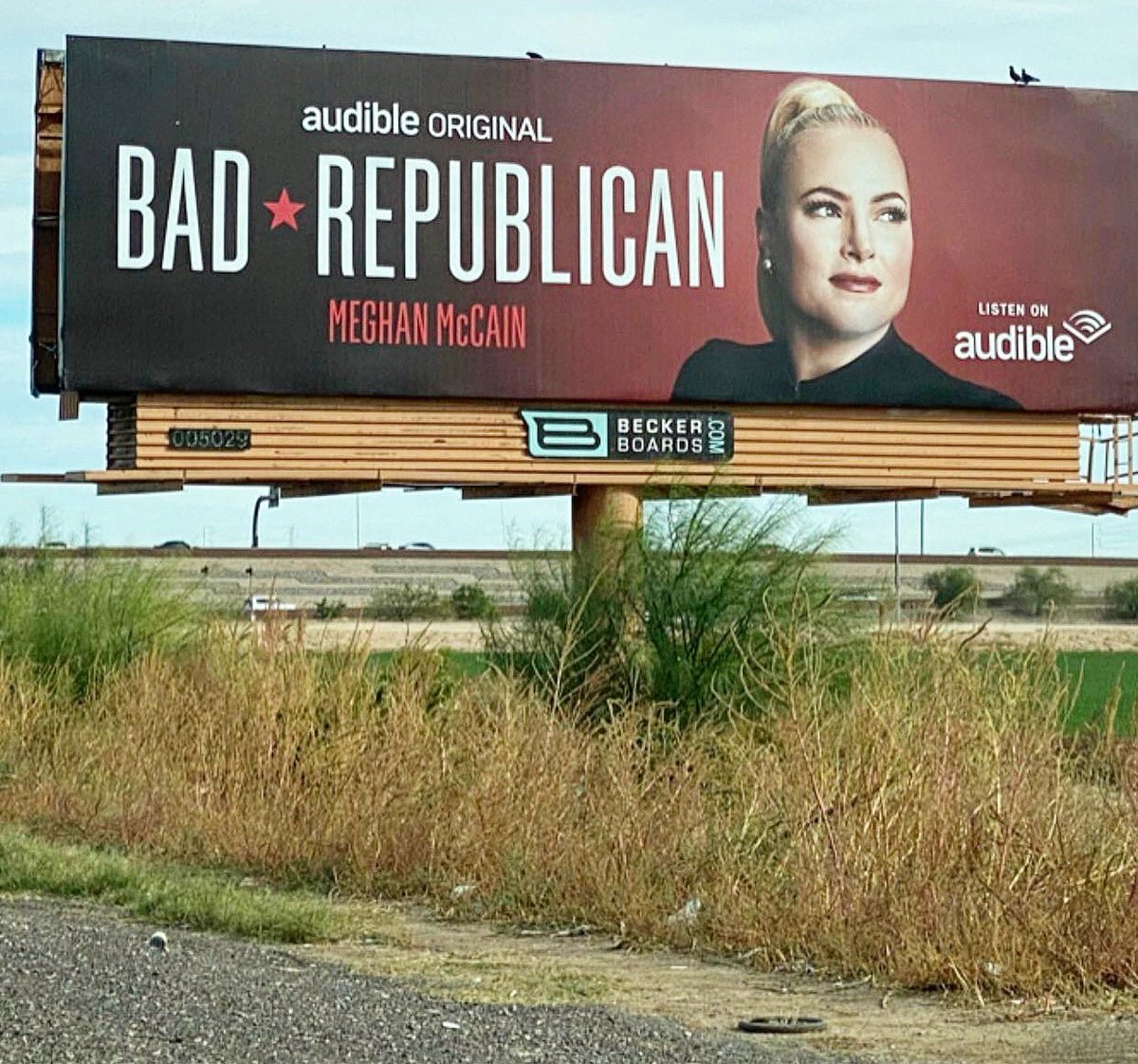 MeghanMcCain's tweet photo. 👋🏻 billboard! @audible_com #BadRepublican https://t.co/DUgrxBF74M