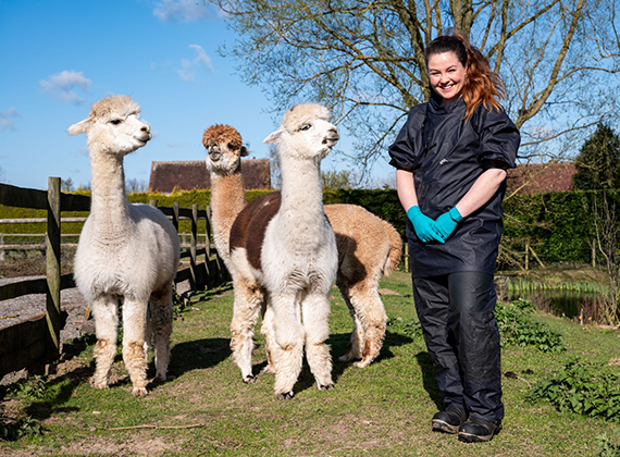 A lovely article about our Basic Camelid Care course on @PetBusinessNews, @GetSet_Vet talks about how camelids needs are quite different from other species and how the course will increase understanding of the specialist care that these animals need from up to date knowledge.