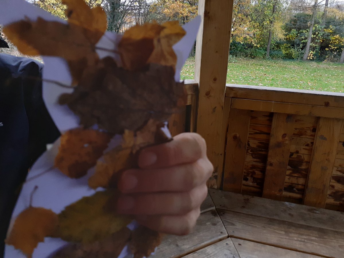 greenspacetrust's tweet photo. We enjoyed planting snowdrop bulbs and making some colourful woodland owls today @PilrigPark School. #winterapproaching https://t.co/jN3NE0JF6l