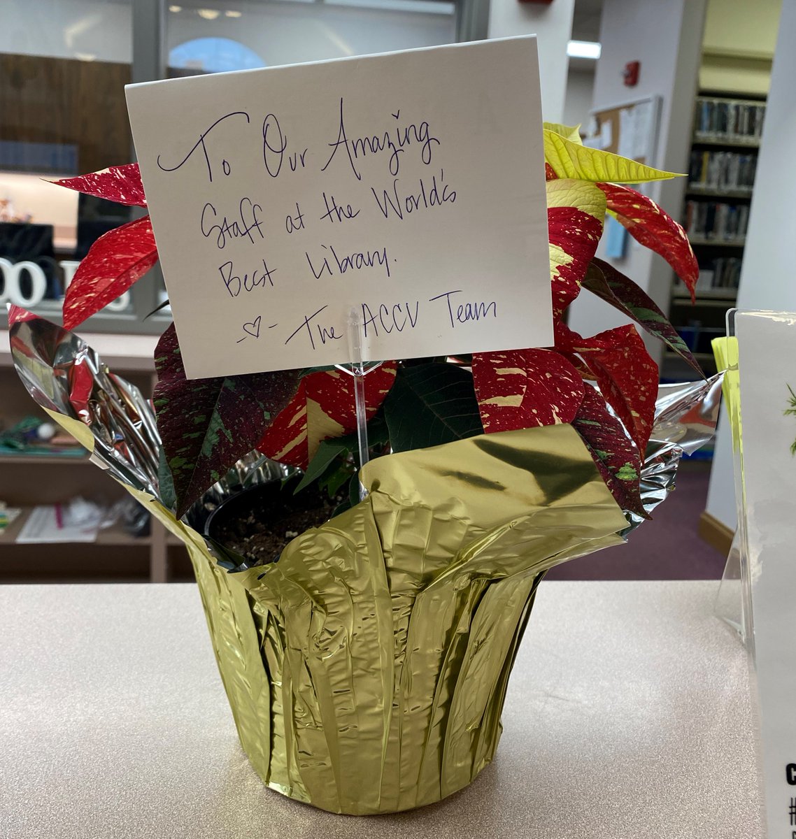 CcplNe's tweet photo. A big THANK-YOU to @archerccu for the two beautiful poinsettia plants for our OPEN HOUSE last Friday!  
We not only loved the plants, but we also loved seeing the huge smiles on the faces of the super-enthusiastic delivery crew!!🥰 https://t.co/6o2r2tmg0s