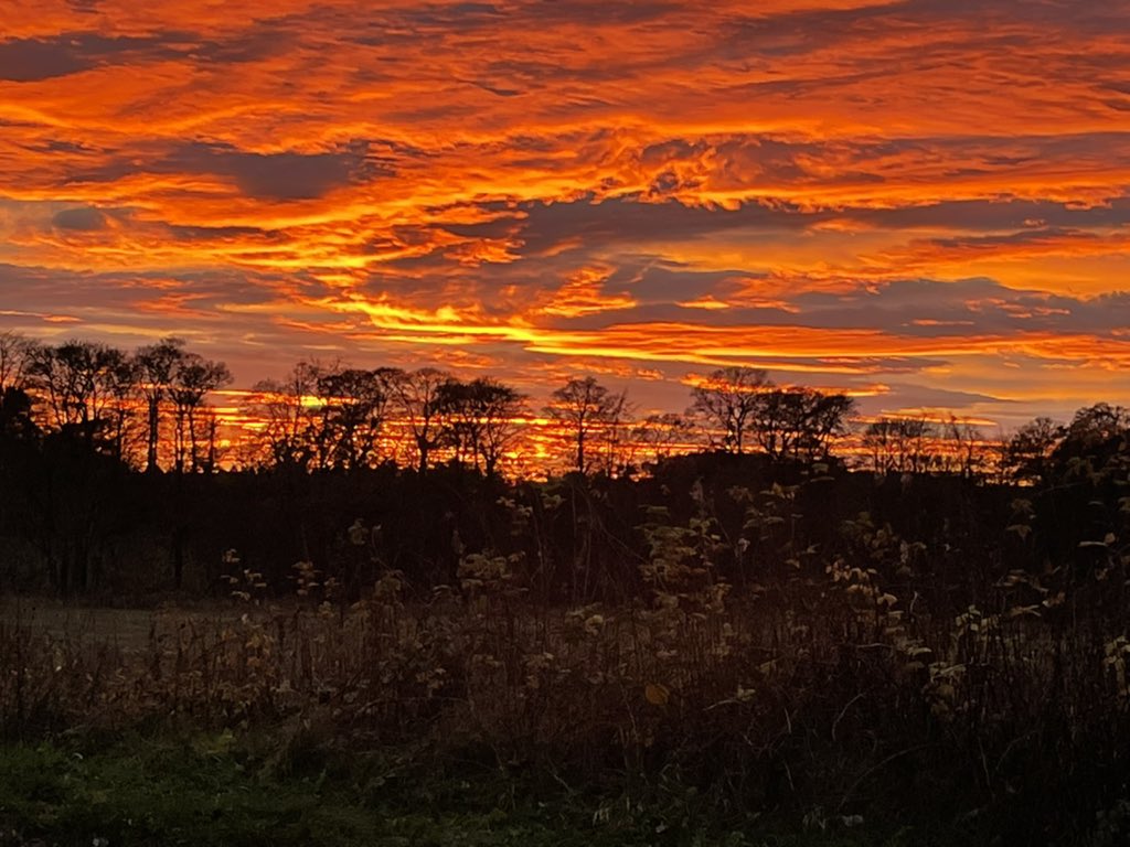 clare findlay tweet media