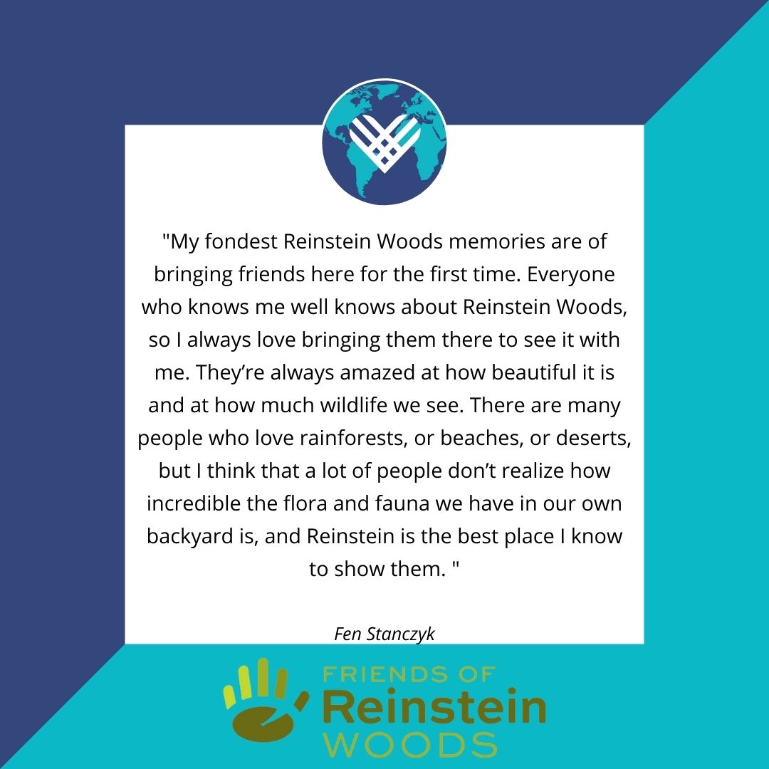 Reinstein Woods tweet media