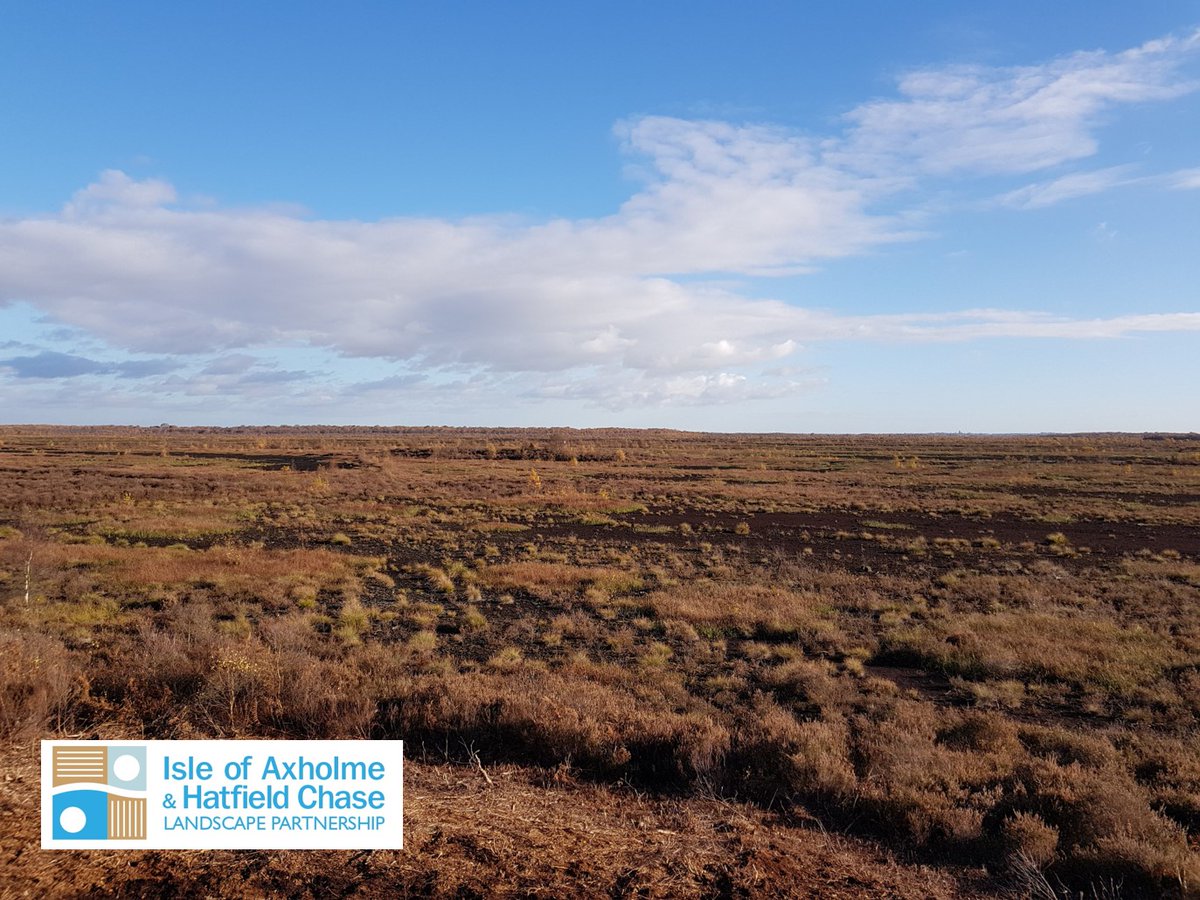 Hatfield Moor is over 1400 hectares of special scientific interest located in the Hatfield Chase. It is managed by Natural England and is the second largest lowland raised peat bog in England.
#hatfieldmoors #hatfield #peatbog #naturalengland