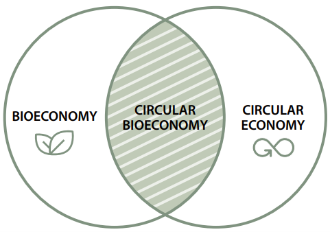 Filip Aggestam tweet media