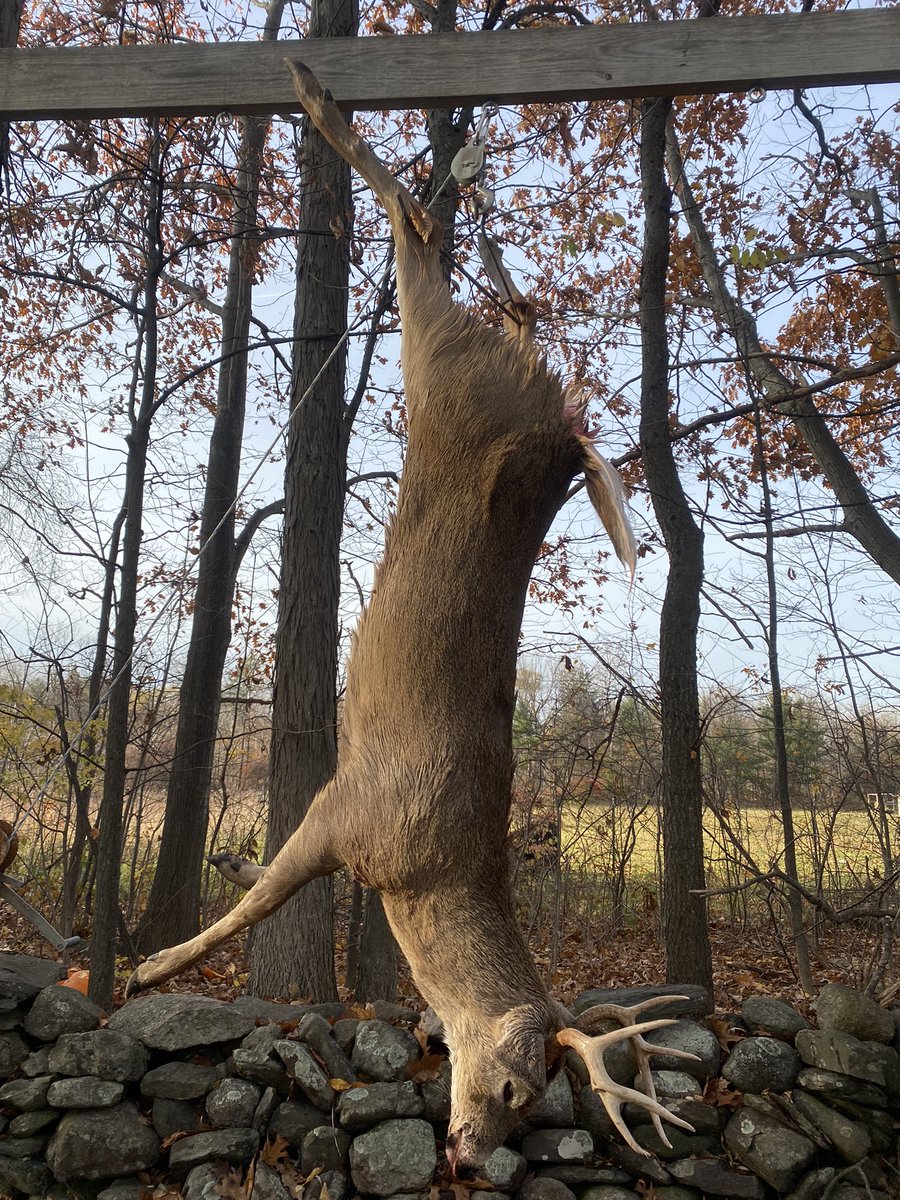 Blessed to harvest this nice 8 point this past week. Mass archery.