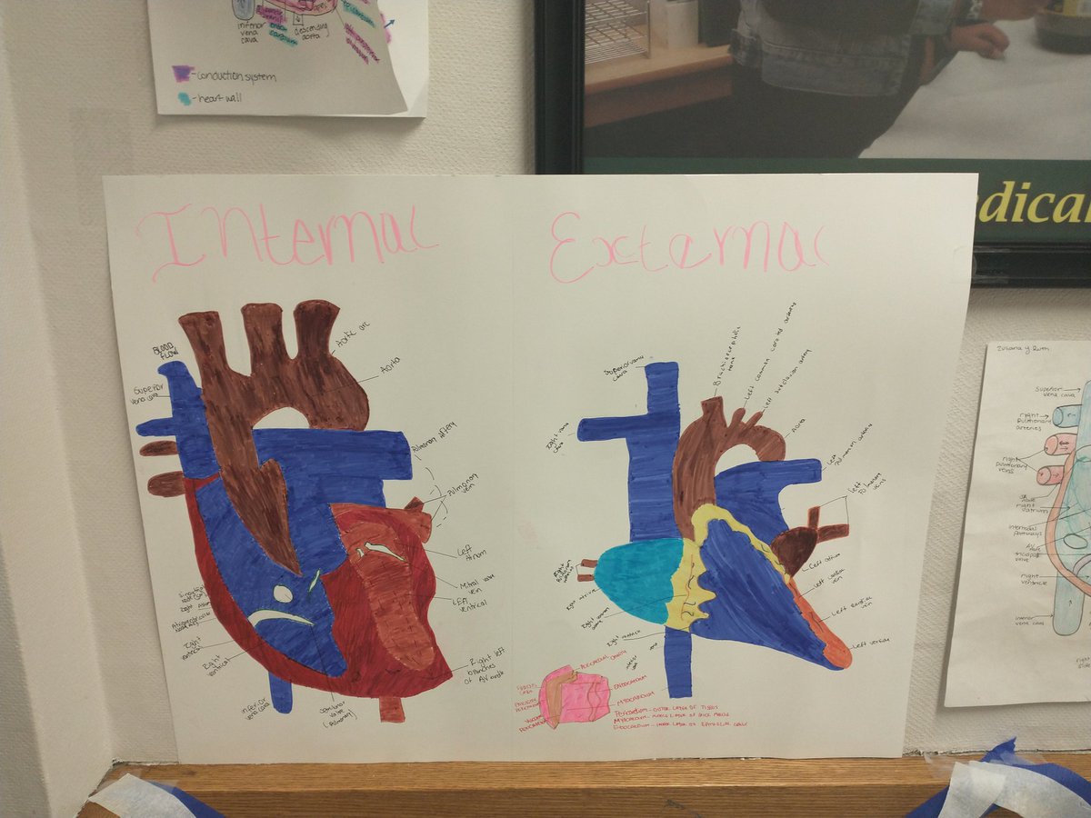 fcacad's tweet image. Medical Assistant students learn about the heart through their beautiful artwork. @HOSAfallschurch @FCPSR2 @FallsChurchHS