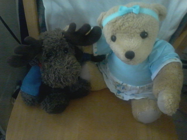 Happy #MooseyMonday all
from Marmaduke the Moose and Miss Gabby
stay safe and have fun today
<a href="/chalkybear1965/">Mr Chalky, Mrs Cuddles & The Cubs etc</a> <a href="/TourGuideTed/">🇺🇦TourGuideTed©🧸🏳️‍🌈🐦🇪🇺</a>  <a href="/AnipalAviators/">The Anipal Aviators</a> <a href="/LilDeanoBear/">LilDeanoBear 🏴󠁧󠁢󠁥󠁮󠁧󠁿</a> <a href="/Emergency_Teds/">Emergency Teds© 🇺🇦</a> <a href="/TheHugHouse/">🧸🌻 Alfie 🌻 🧸</a> <a href="/belbaer/">Gregory Thetmeyer</a> <a href="/sherfordbear/">Dee H. Dodgson 🇺🇦</a> <a href="/snuffynorton/">SnuffyNortonBearmani</a> <a href="/TeddyTedaloo/">Teddy Tedaloo</a> @BooBooBearGreen