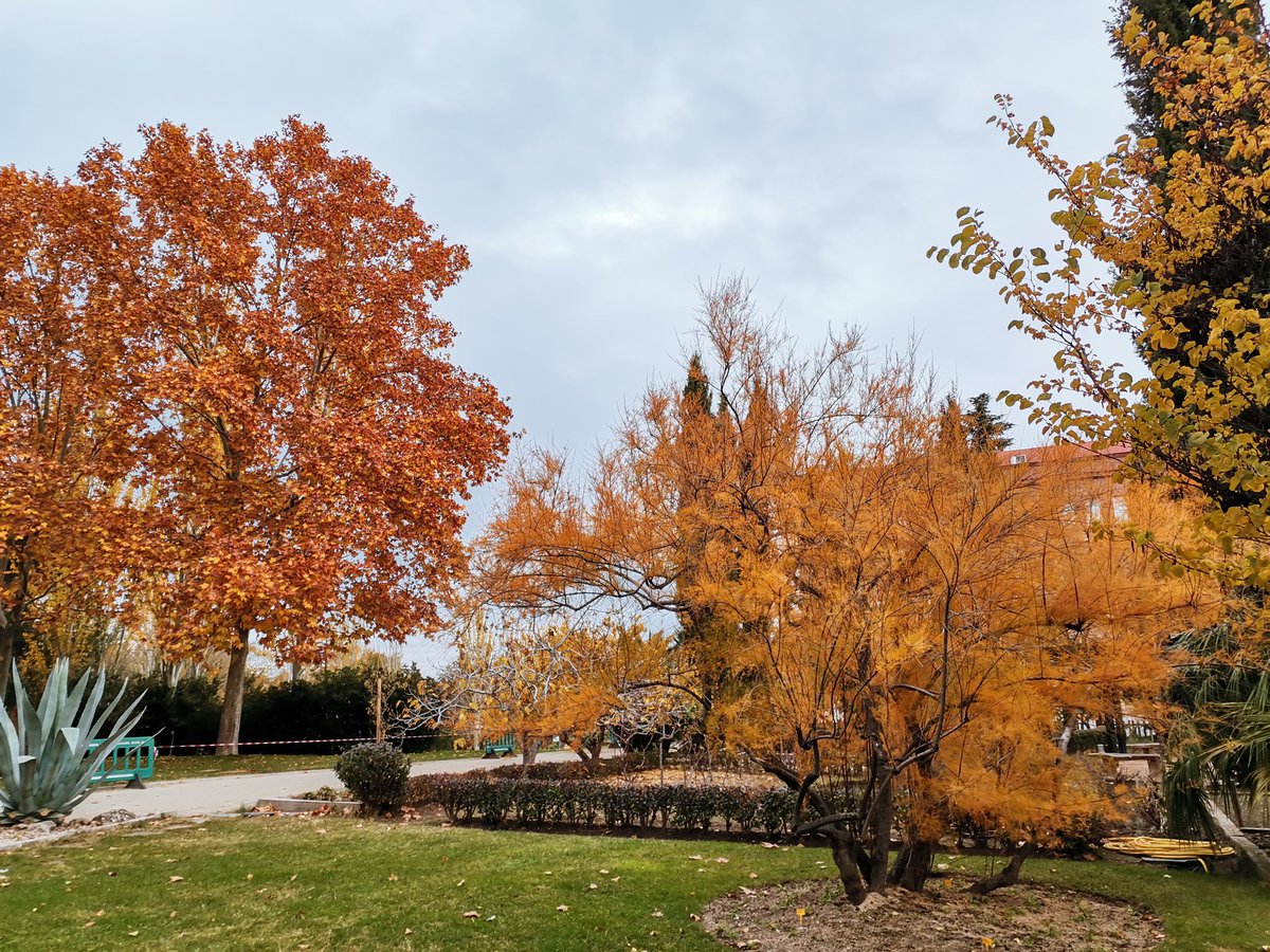 Los grupos de jardinería y el otoño hacen maravillas en la UFIL