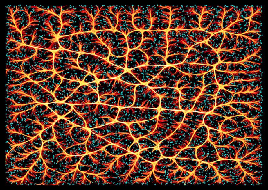 BitcoinArchive's tweet photo. #Bitcoin Lightning Network 
- data visualisation 😍 https://t.co/m1bKGvzxrK