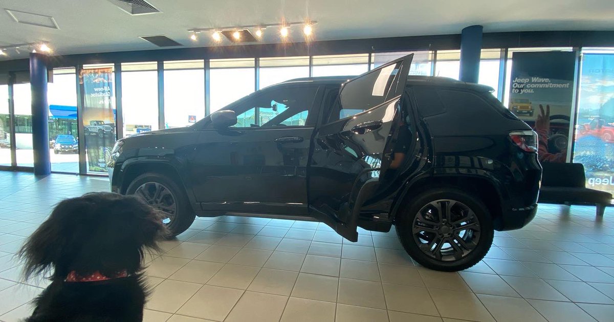 yuukadoki666's tweet photo. My first brand new car♡

“Jeep Compass 80th anniversary”
I've been waiting for this day to come...lol
人生初の新車 ”Jeep”。
まさかjeepを選ぶとは思ってなかったけど最終的に納得いくのを選べてよかったー！Kraig 担当してくれてありがとーーー！
初の運転はまじガクブルレベルで怖かった♡笑 https://t.co/sDrhZcQ0hV