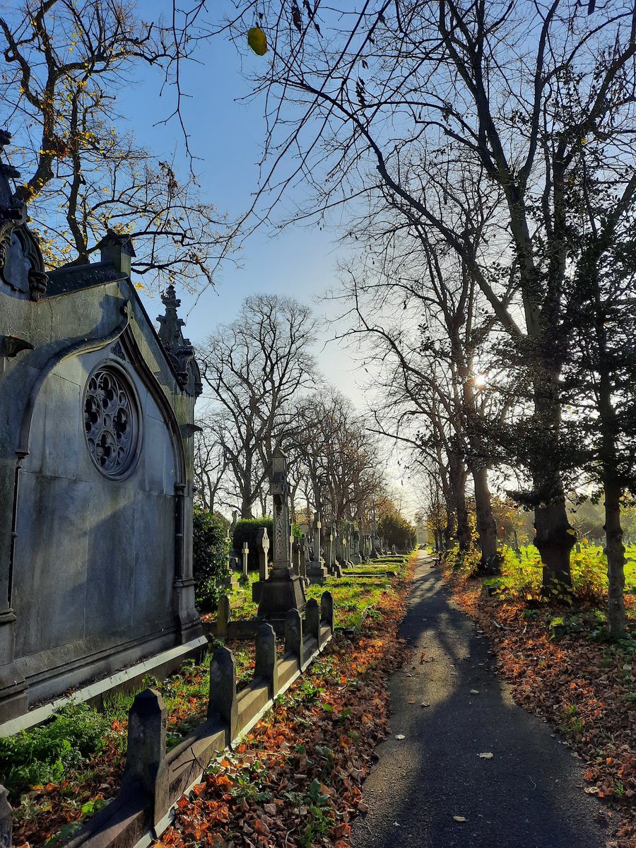 Walked round @theroyalparks #BromptonCemetery this morning and it was looking glorious.