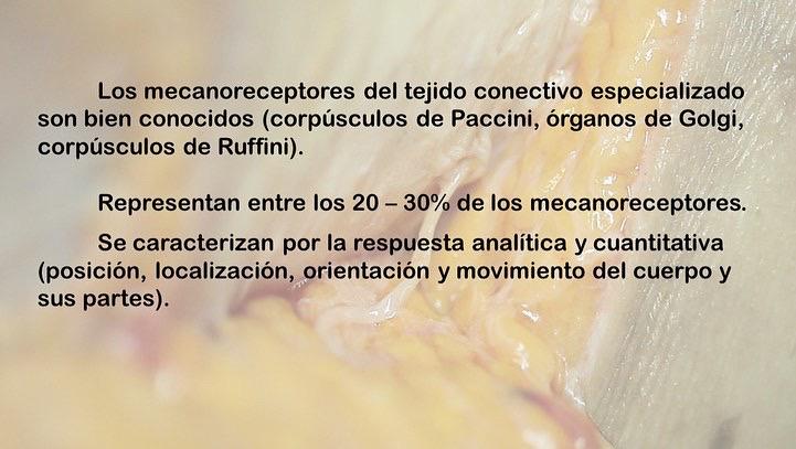 Fisioterapia4D's tweet photo. ¿De que manera está Inervada la fascia ?

Martin Pilat nos acerca interesante información al respecto.

👇👇👇 https://t.co/V8S4Jg6rkH