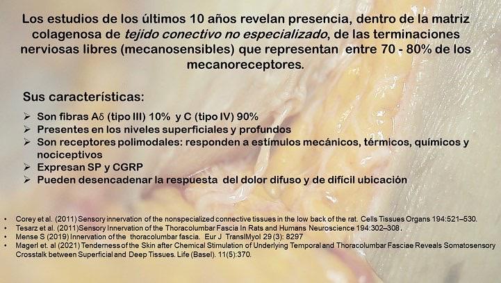 Fisioterapia4D's tweet photo. ¿De que manera está Inervada la fascia ?

Martin Pilat nos acerca interesante información al respecto.

👇👇👇 https://t.co/V8S4Jg6rkH