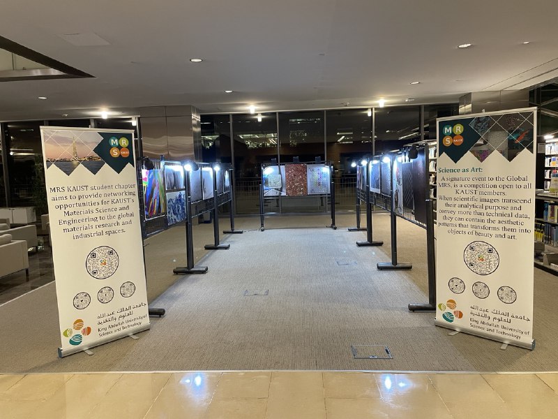 Don't forget to come to the award ceremony for the Science as Art exhibit in the library!
Tomorrow Tuesday 23 from 14:00 until 16:00.
There will be light refreshments and you can vote for your favorite pictures to get a prize.
The images will be there until December 2.