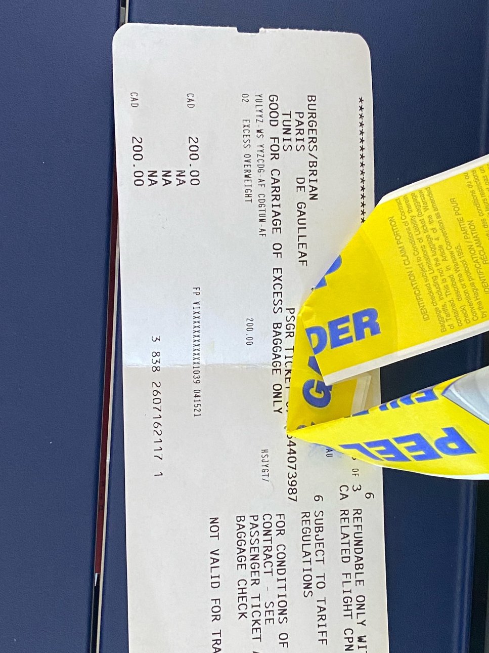 Westjet overweight baggage sale