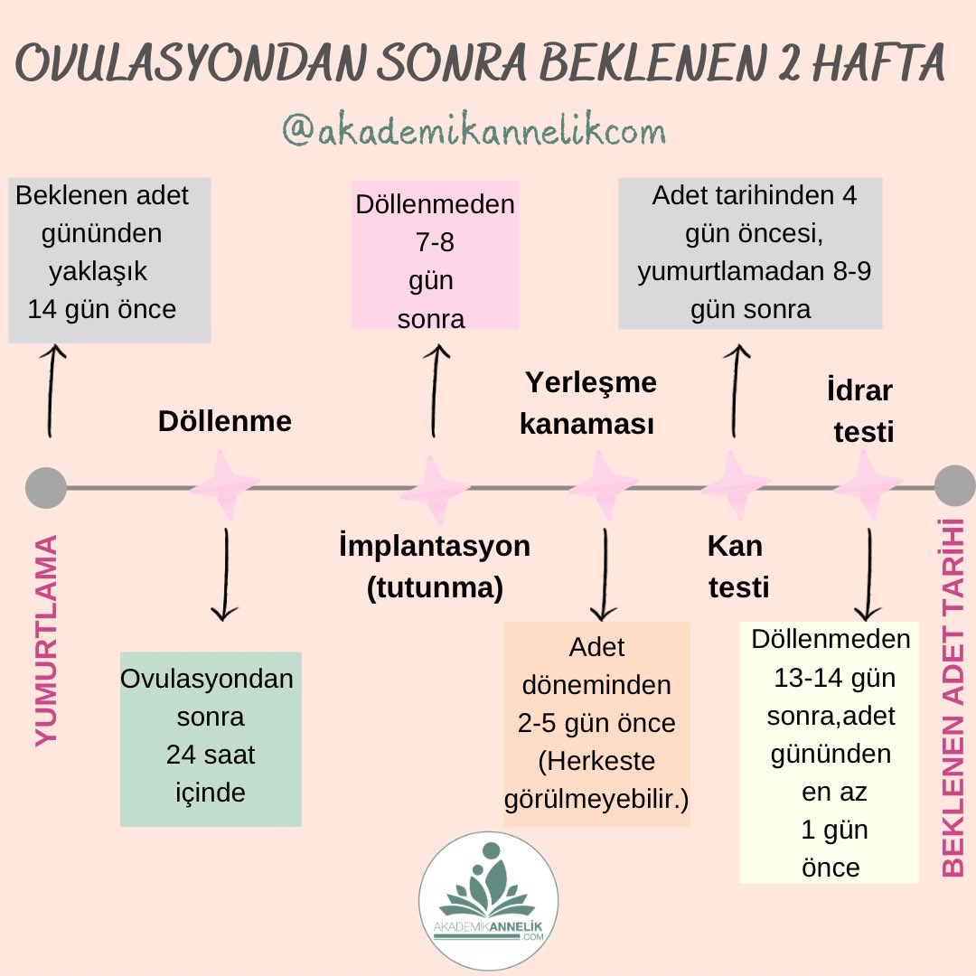 OVULASYON NASIL BELİRLENİR?

Ayrıntılı bilgi için tıklayın: akademikannelik.com/Hamilelik-Deta…

#ovulasyon #yumurtlama #hamilelik #pregnancy #pregnant #mother #baby #hamilelikbelirtileri #ebebek #monday #MondayMood #MondayBlogs