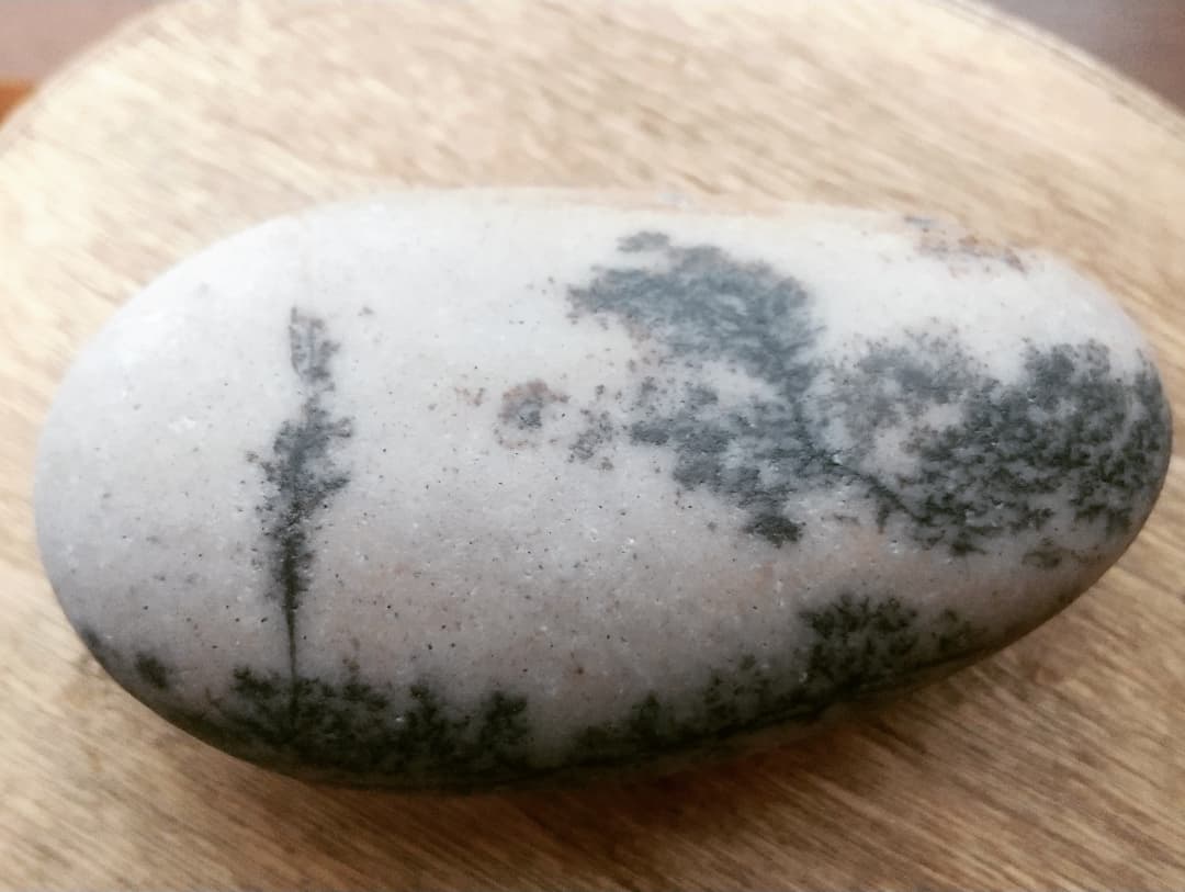 しのぶ石 Twitter Search Twitter