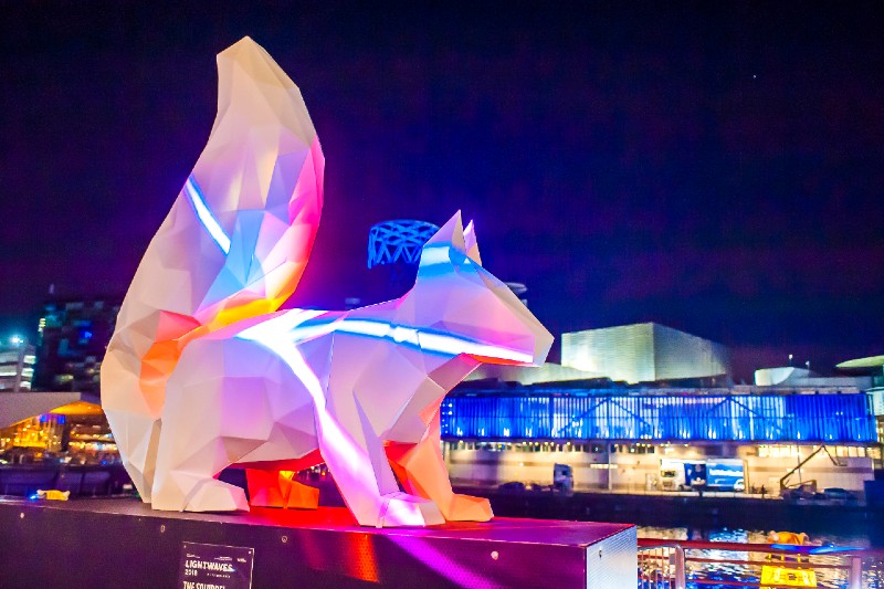 Celebrate Halton (@halton2021) on Twitter photo Come and see the amazing installation The Squirrel in Victoria Park Widnes 9 - 12 December 4.30pm - 8.30pm each day. Original artwork by Tim Boin, Projection by Dave Lynch. FREE EVENT. For more information: celebratehalton.co.uk/events/the-squ⦠#celebratehalton <a href="/HaltonBC/">Halton Council</a> Come and see the amazing installation The Squirrel in Victoria Park Widnes 9 - 12 December 4.30pm - 8.30pm each day. Original artwork by Tim Boin, Projection by Dave Lynch. FREE EVENT. For more information: celebratehalton.co.uk/events/the-squ⦠#celebratehalton <a href="/HaltonBC/">Halton Council</a>
