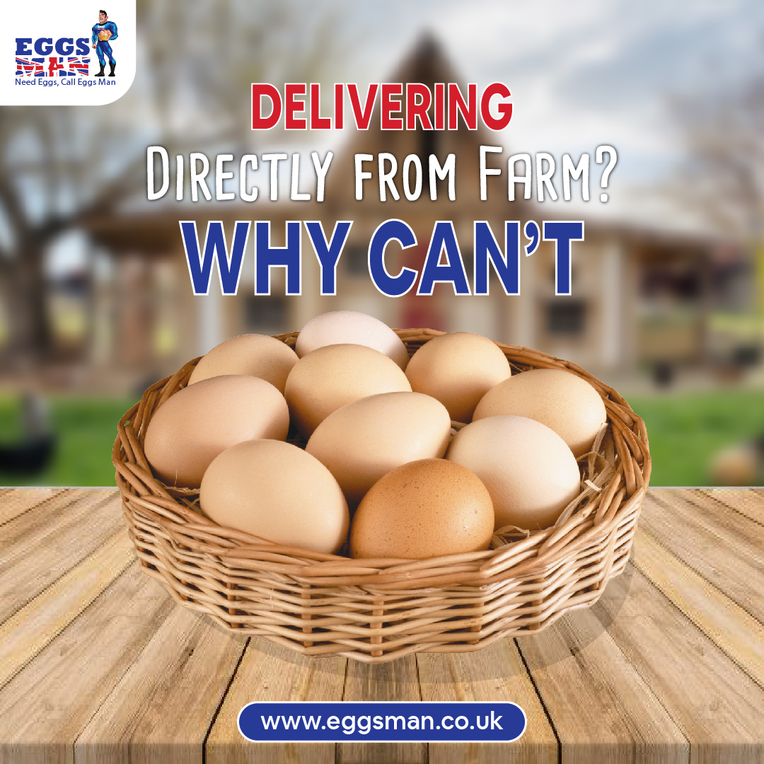 If milk can be delivered, directly from farm, why can't EGGS! need eggs, just call eggsman. Getting you the widest variety of eggs delivered directly from farm to your door step.
Order now: 208-558-0399
#egg #healthyeatsliving #plushport  #Eggsman #healthyeggs #goodmorning